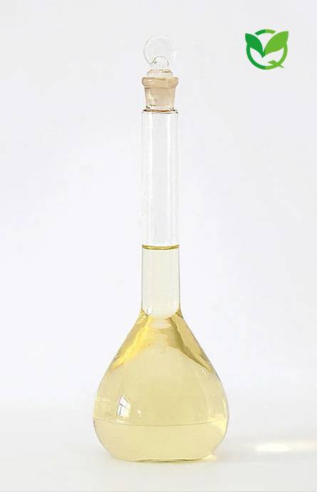 ����͸Ĥר����ϴ��